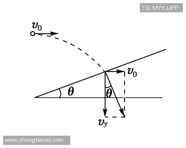 杭州乒乓球队在洲际杯中的速度表现分析与点评
