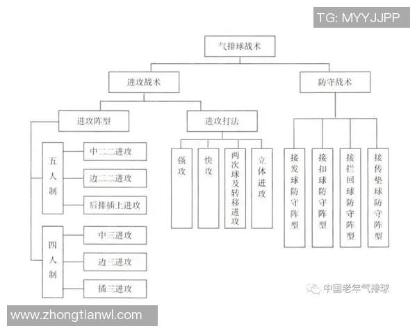 深圳排球队区域防守策略解析与深度剖析排球战术的奥秘 深圳排球队区域防守策略解析与深度剖析排球战术的奥秘