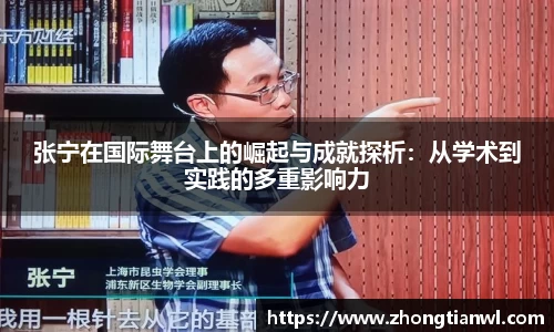 张宁在国际舞台上的崛起与成就探析：从学术到实践的多重影响力